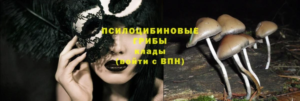 прущая мука Нея