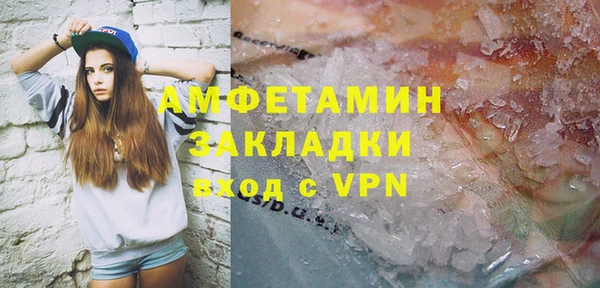 стаф Новодвинск
