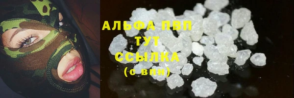 стаф Новодвинск