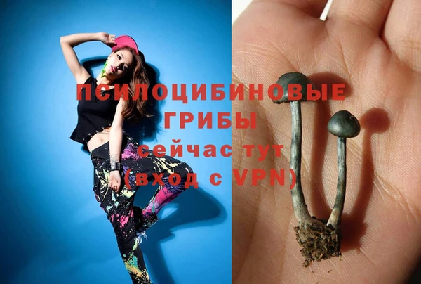 стаф Новодвинск