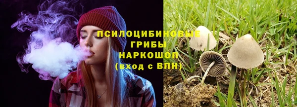 стаф Новодвинск