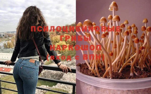 MESCALINE Нефтегорск
