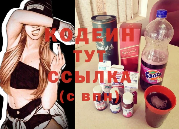 стаф Новодвинск