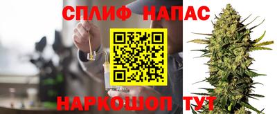 гидра Волгодонск