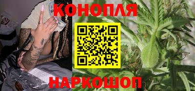 гидра Волгодонск