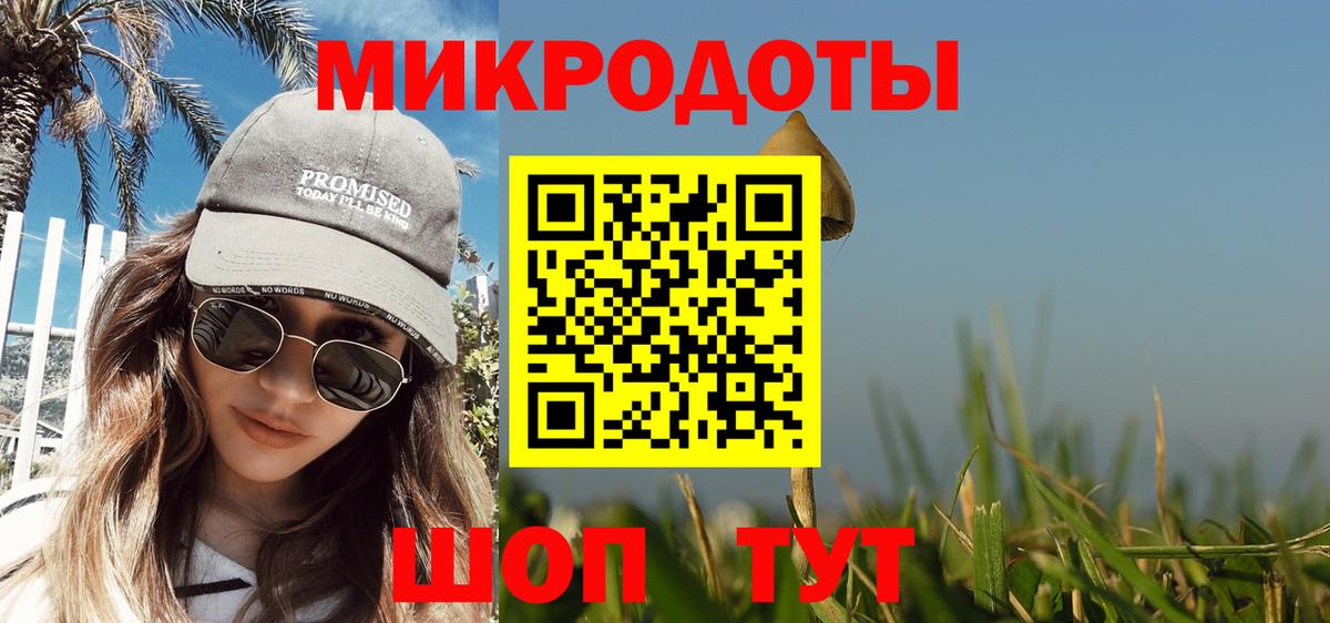 Качканар  Галлюциногенные грибы Psilocybe  Вход с VPN 